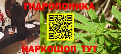 гашик Канаш
