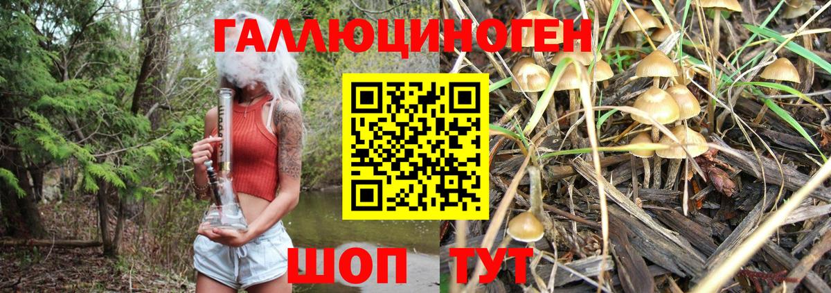 Галлюциногенные грибы Magic Shrooms  Псилоцибиновые грибы Magic Shrooms  Вход с VPN  Йошкар-Ола 