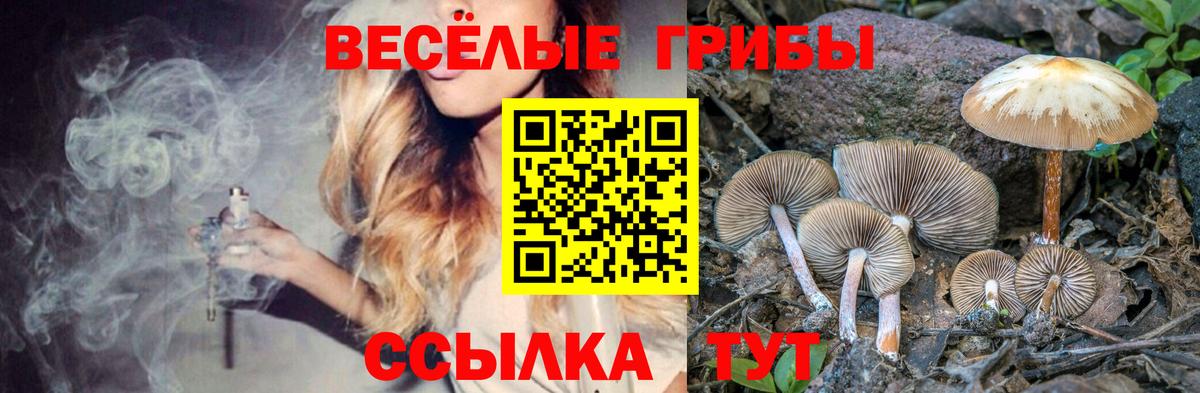 Галлюциногенные грибы Magic Shrooms Йошкар-Ола