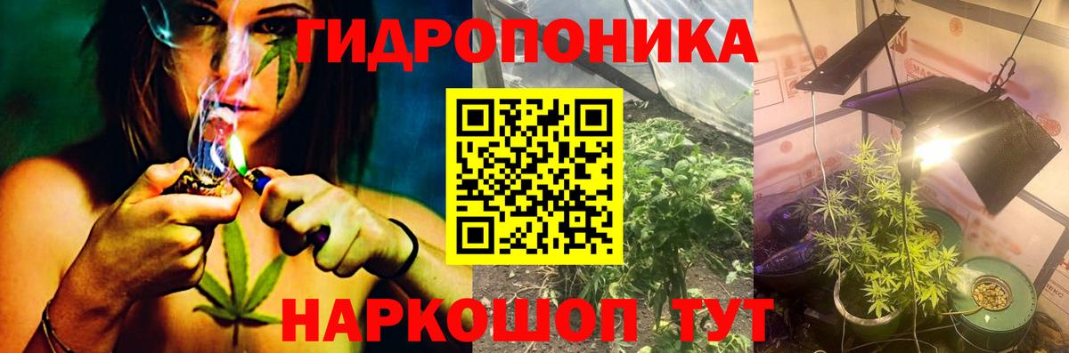 МАРИХУАНА ГИДРОПОН Йошкар-Ола
